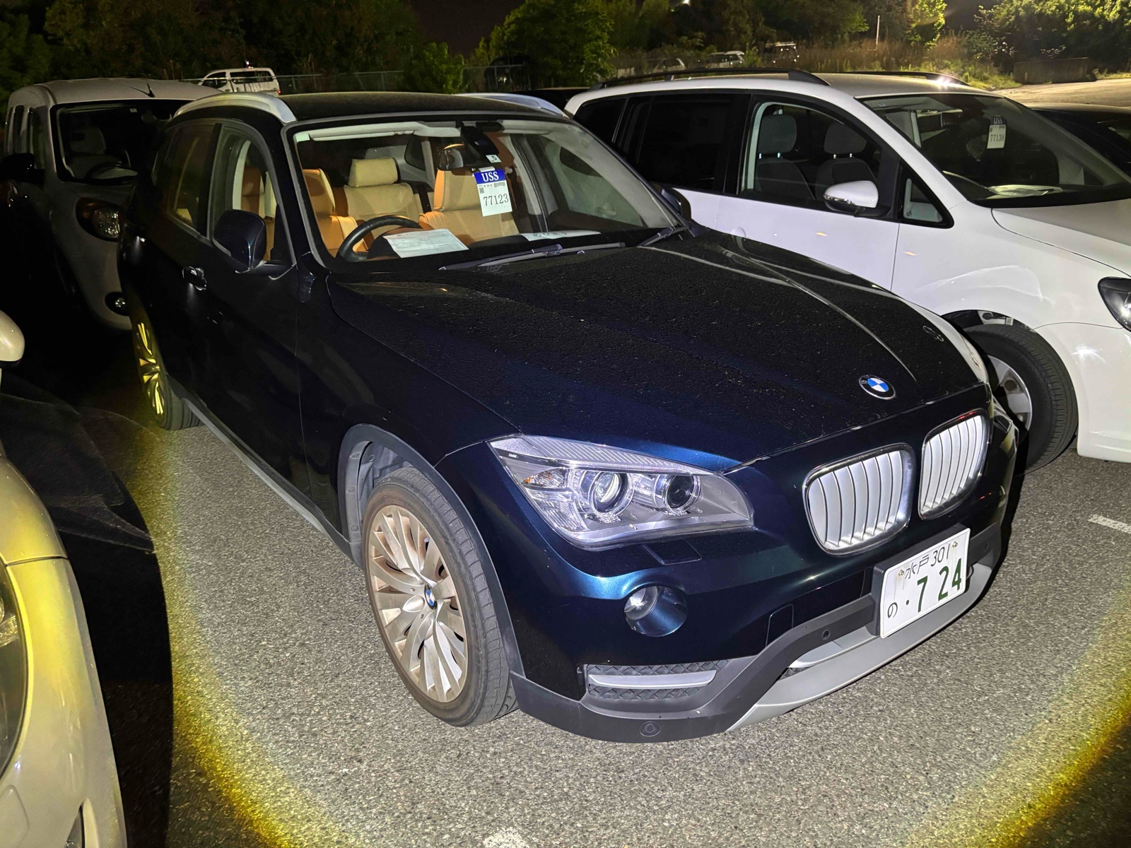 2013 BMW X1